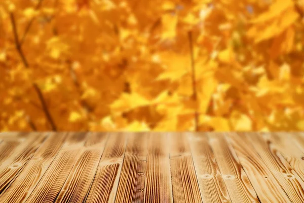 Holztisch Mit Verschwommenem Hintergrund Eines Herbstlichen Gelben Waldes — Stockfoto