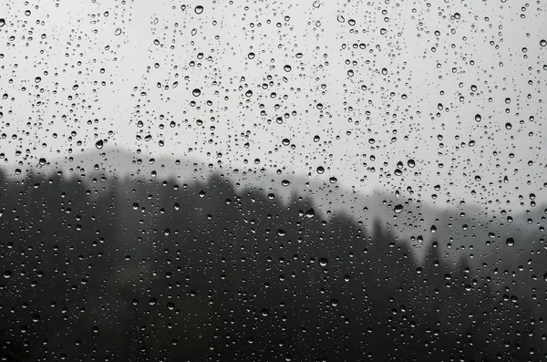 Gotas de lluvia sobre vidrio en el fondo del bosque —  Fotos de Stock