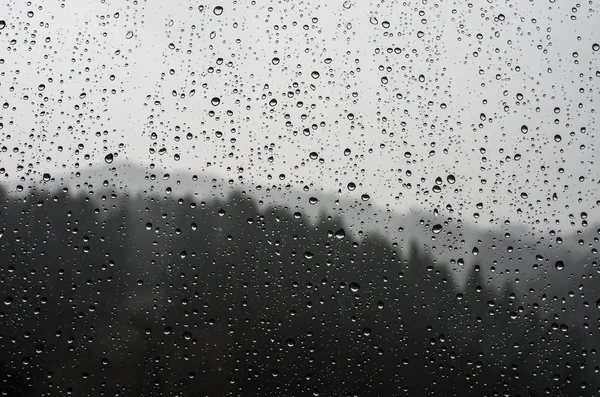 Gotas de lluvia sobre vidrio en el fondo del bosque Fotos De Stock