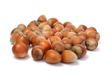  Fındık. Fındık. Makro.