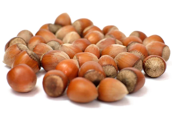  Fındık. Fındık. Makro.