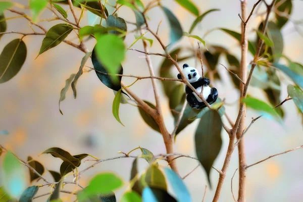 Ağaçtaki oyuncak panda