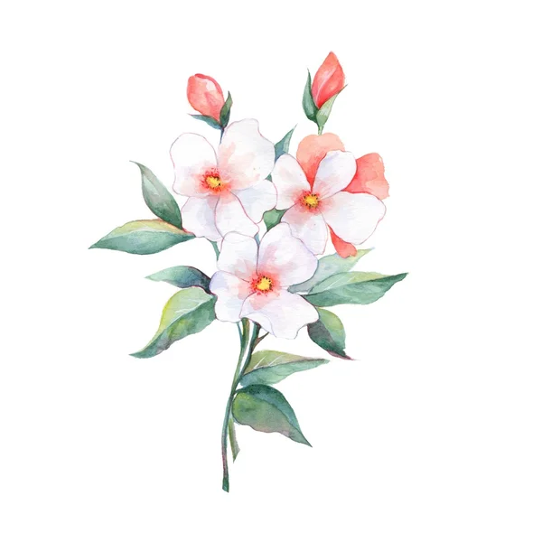 Beyaz buket. Suluboya