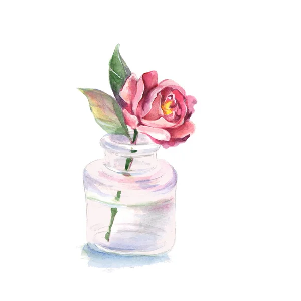 Cam vazoda çiçek. Suluboya resim