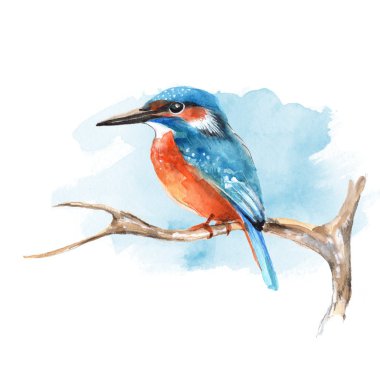 Branş 2 üzerinde Kingfisher