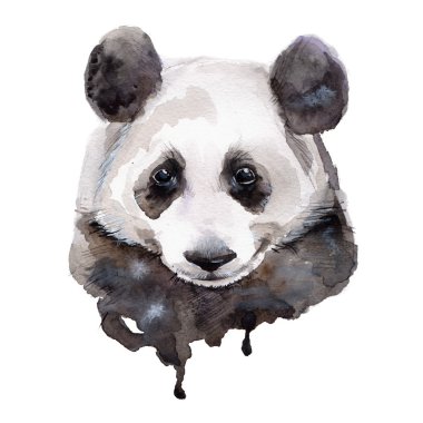  Panda.Watercolor illüstrasyon