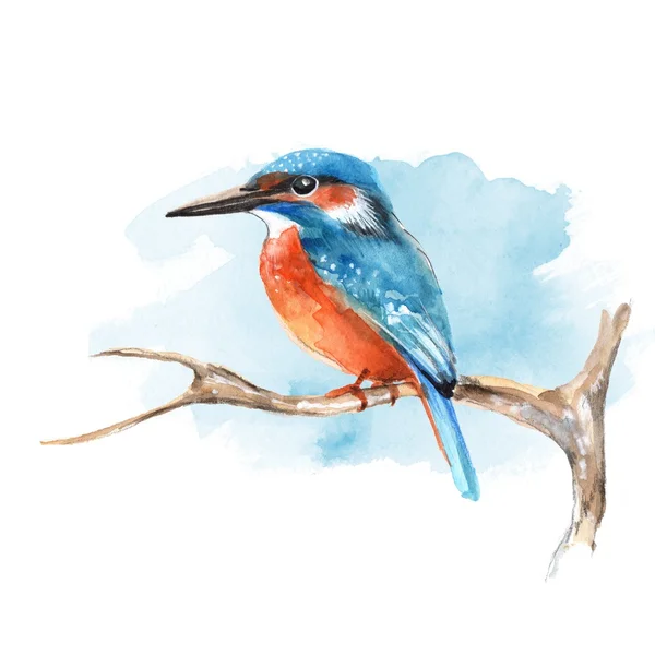 Branş 2 üzerinde Kingfisher