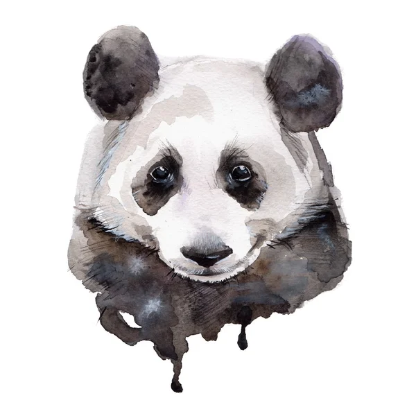  Panda.Watercolor illüstrasyon