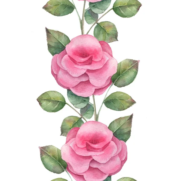 Rose. Sorunsuz sınır 1