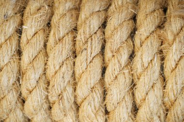 Kenevir halatı arka plan kenevir ipi dokusu büyük kenevir ipi bir araya toplanmış.