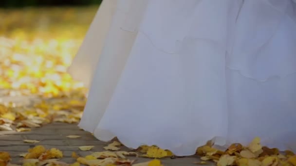 Otoño, hojas amarillas, defoliación, novia, vestido blanco — Vídeos de Stock