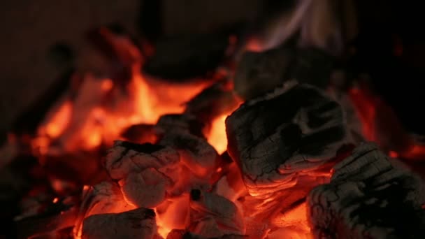 Brandende kolen, brand — Stockvideo