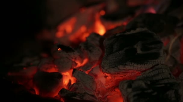 Carboni ardenti, fuoco — Video Stock