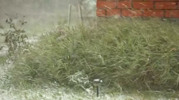 暴雪、 砖墙和高高的灌木丛 — 图库视频影像