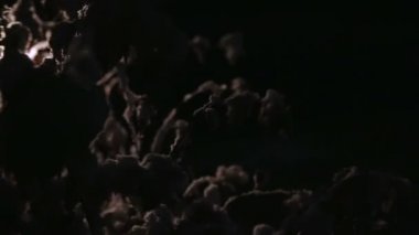 Donmuş yaprak backlight6