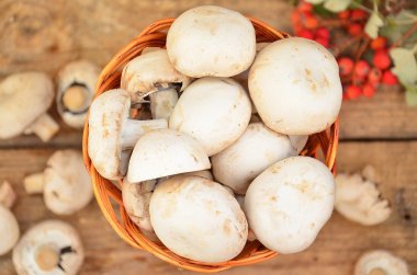 iştah açıcı beyaz mantar