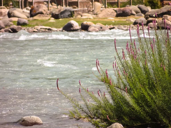 Ve sessizce akardı don