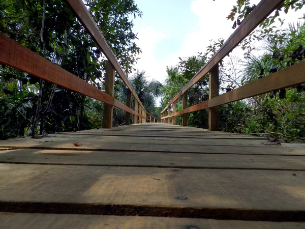 Camino de madera — Foto de Stock