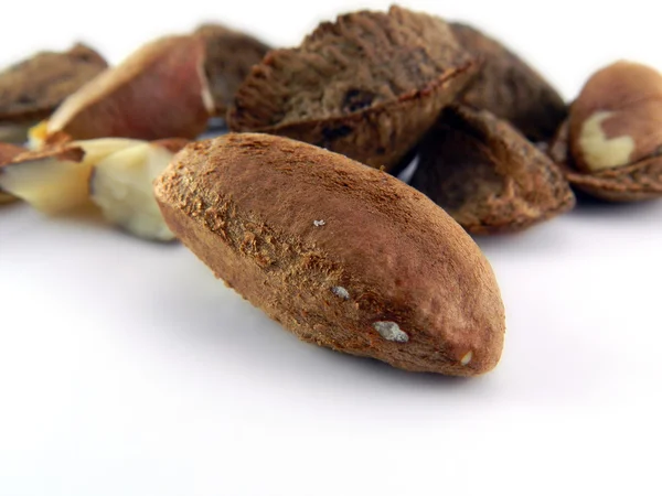 Kacang Brasil yang disebut castanhas do para — Stok Foto
