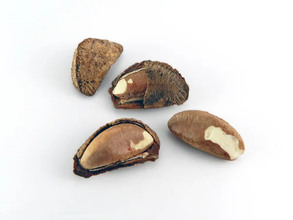 Brazil nut called castanha do para Stock Picture