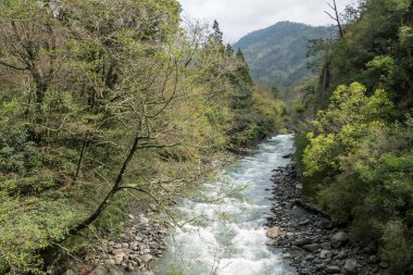 Cijiawan Nehri Taichung, Tayvan.