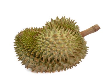 Yeşil Durian, beyaz arka planda izole edilmiş Tayland tropik kokulu meyve yemeği..