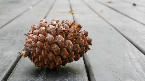 Çam kozalağı eski ahşap masa üzerinde. (1)