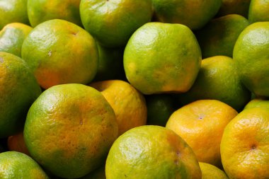 Taze Çince yeşil mandalina portakal