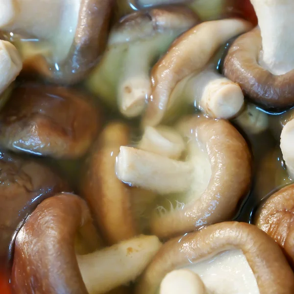 Close up z vařené shiitake v horké oden polévka — Stock fotografie