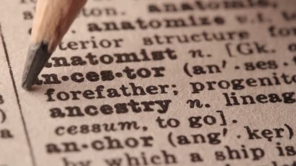 origin of the word pencil