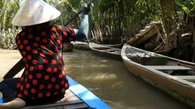Mekong Deltası, Vietnam - 2015: Vietnamlı tekne bayan güney Vietnam