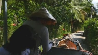 Mekong Deltası, Vietnam - 2015: Geleneksel Vietnam yaşam tarzı at ve arabası