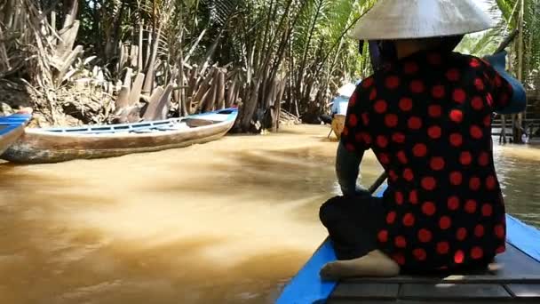 Mekong Deltası, Vietnam - 2015: Vietnamlı tekne bayan güney Vietnam — Stok video