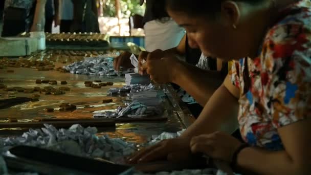 Mekong Delta, Vietnam-2015: Vietnamese fabrieksarbeiders werken met handen — Stockvideo