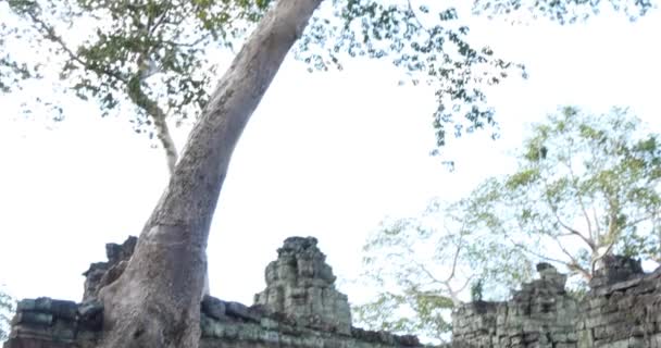 Cambodia Angkor Wat tempel oude ruïne gebouwen Preah Khan — Stockvideo