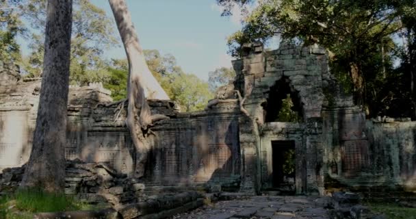 Kamboçya Angkor Wat Tapınağı eski harabe binalar Preah Khan — Stok video