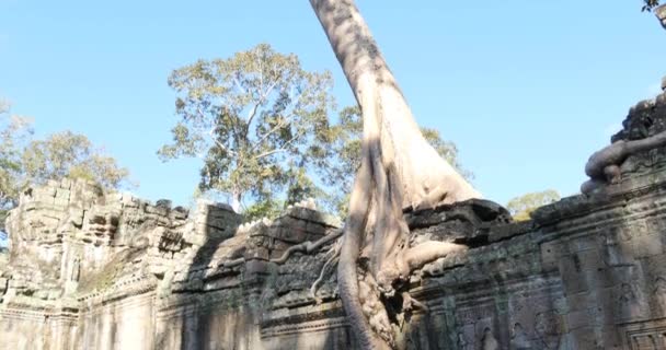 Kambodja Angkor Wat templet gammal ruin byggnader Preah Khan — Stockvideo