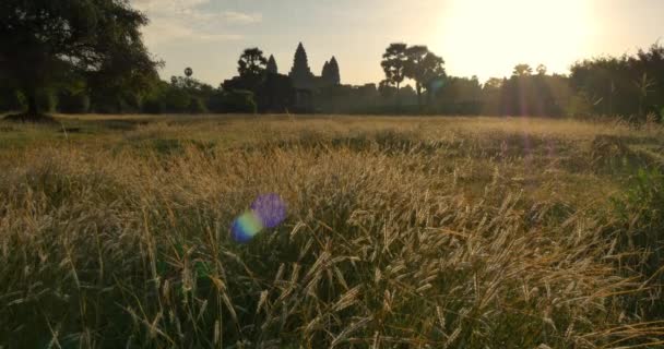 Angkor Wat Kamboçya antik taş harabe tapınak sabah ışığı — Stok video