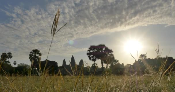 Angkor Wat Kambodja forntida sten ruin Temple morgonljus — Stockvideo