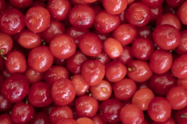 Olgun kırmızı kiraz yakın plan