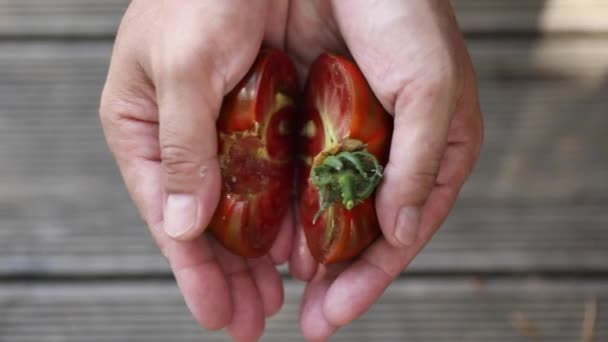 Pomodoro Maturo Due Metà Nelle Mani Una Persona — Video Stock