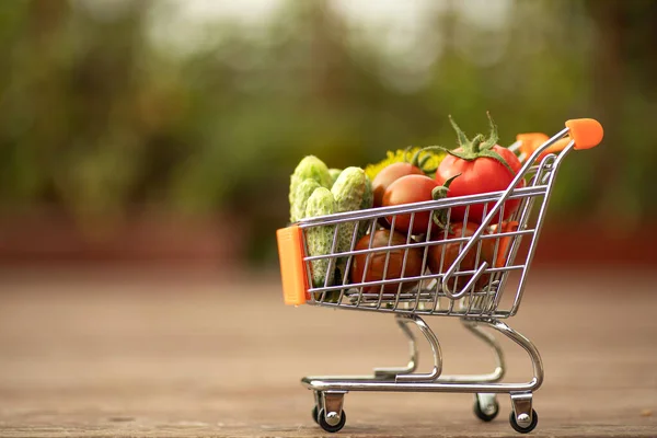 街上摆满蔬菜 西红柿和黄瓜的购物车 — 图库照片