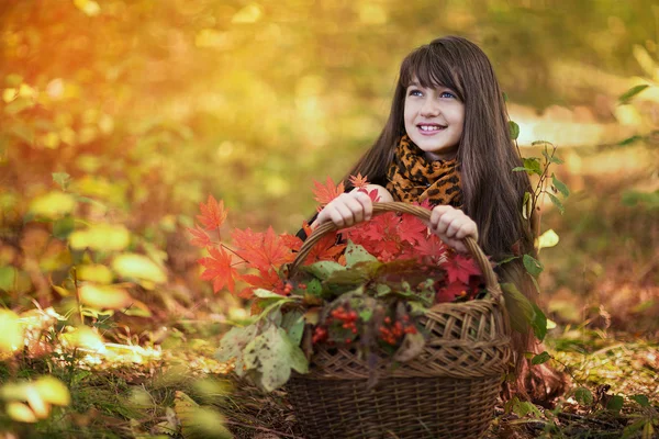 Belle fille sur fond de feuilles d'automne — Photo