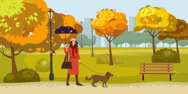 Autumn Park 'lı genç kadın köpekle yürüyor, sarı turuncu kırmızı ağaçlar, yürüyüş bankı. Sonbahar havasında şehir manzarası. Vektör izole çizimi izole edildi