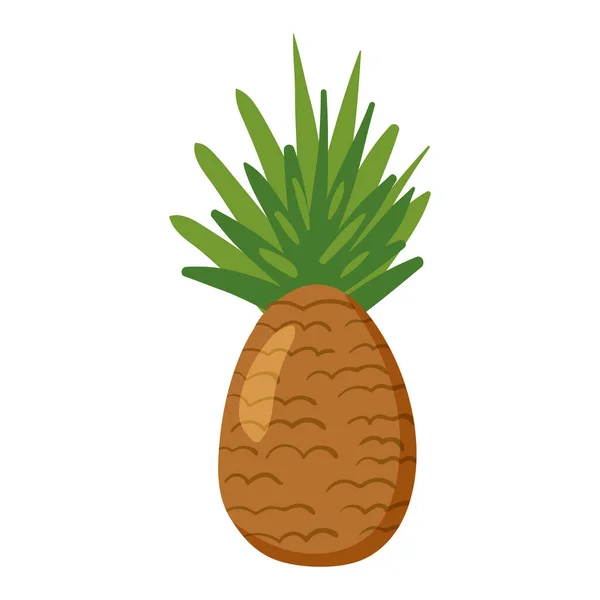 Fruta tropical de piña, producto nutritivo saludable. Dibujo vectorial ilustración plana dibujado a mano aislado — Vector de stock