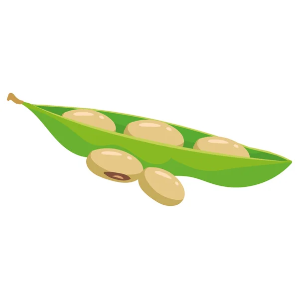 Haricots de soja gousse mûre, produit nutritionnel biologique sain. Dessin animé vectoriel plat illustration tendance dessiné à la main isolé — Image vectorielle