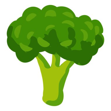 Brokoli sağlıklı beslenme ürünü yeşil sebze. Vektör el çizimi çizgi film düz modayı beyaz arkaplan