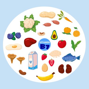 B7 vitamini kaynağı, doğal kaynaklar. Sağlıklı günlük yiyecekler zengin biyotin, et, balık, sebze, meyve, sebze. Organik diyet ürünleri, doğal besin toplama. Vektör düz çizgi film