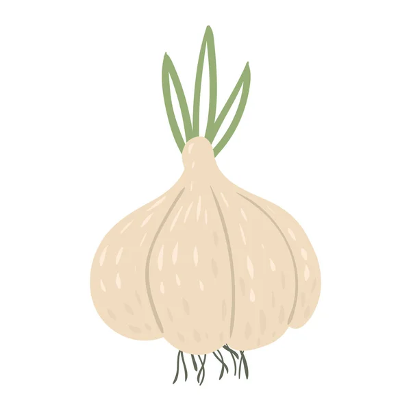 Garlicl, prodotto nutrizionale biologico sano naturale. Vector doodle cartoon piatto trendy illustrazione disegnato a mano isolato — Vettoriale Stock