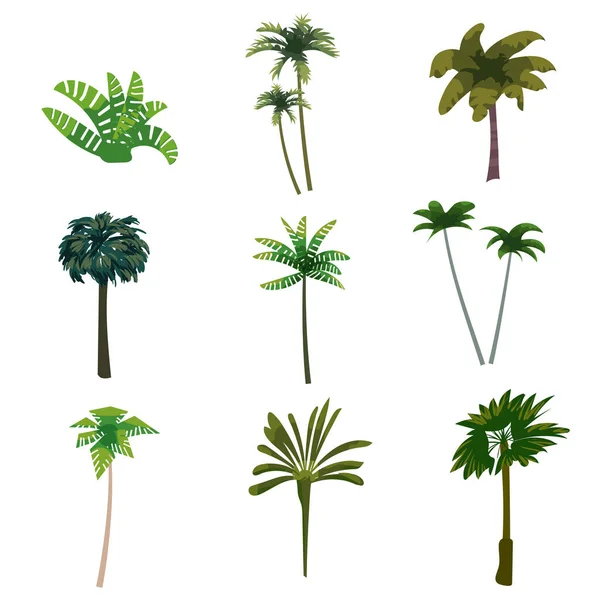 Пальмы и экзотические растения. Коллекция ботанической флоры джунглей тропической природы. Векторная иллюстрация в плоском стиле — стоковый вектор